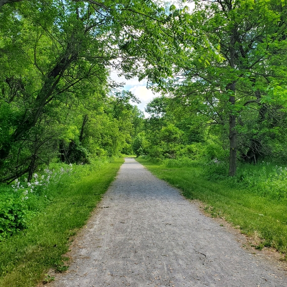 Meet your Posher, Lisa - Picture 2 of 2